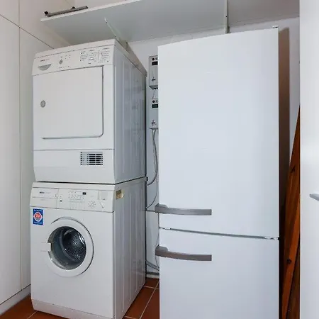 'strandflieder' 랑에오그